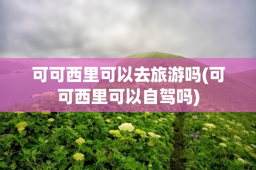 可可西里可以去旅游吗(可可西里可以自驾吗)