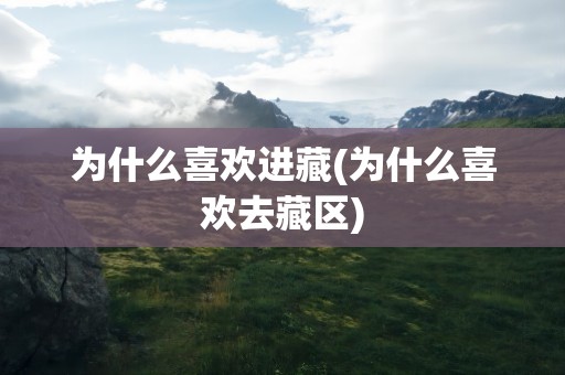 为什么喜欢进藏(为什么喜欢去藏区)
