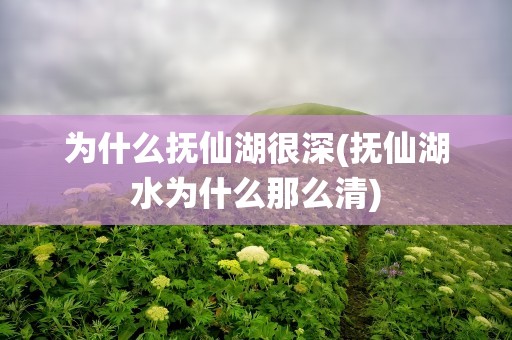 为什么抚仙湖很深(抚仙湖水为什么那么清)