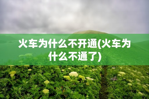 火车为什么不开通(火车为什么不通了)