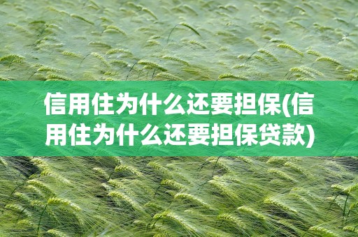 信用住为什么还要担保(信用住为什么还要担保贷款)