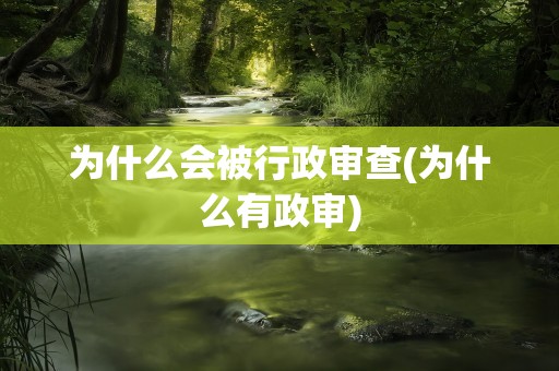 为什么会被行政审查(为什么有政审)