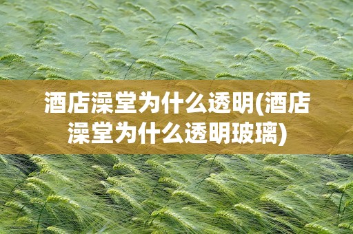 酒店澡堂为什么透明(酒店澡堂为什么透明玻璃)