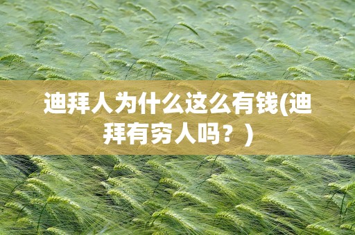 迪拜人为什么这么有钱(迪拜有穷人吗？)