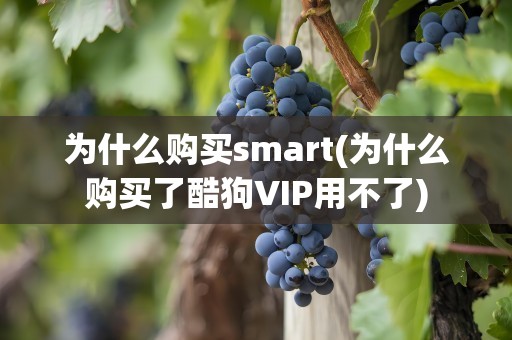 为什么购买smart(为什么购买了酷狗VIP用不了)
