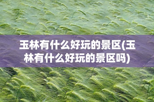 玉林有什么好玩的景区(玉林有什么好玩的景区吗)