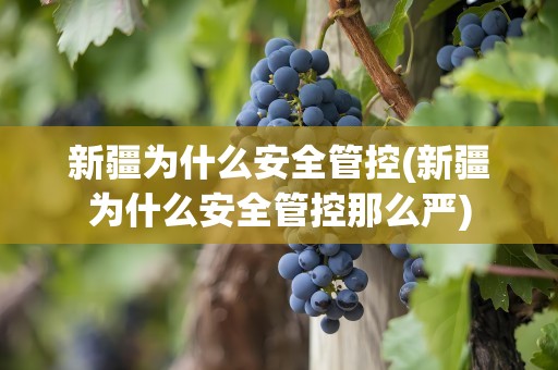 新疆为什么安全管控(新疆为什么安全管控那么严)