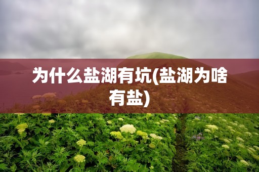 为什么盐湖有坑(盐湖为啥有盐)