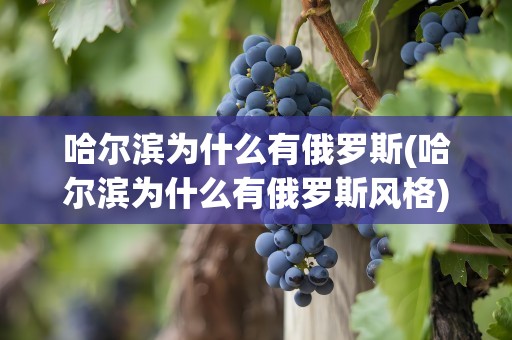 哈尔滨为什么有俄罗斯(哈尔滨为什么有俄罗斯风格)