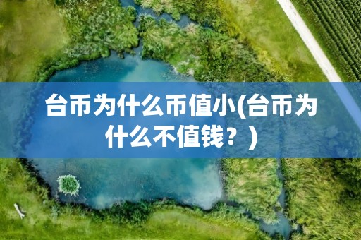台币为什么币值小(台币为什么不值钱？)