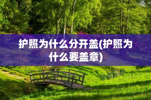 护照为什么分开盖(护照为什么要盖章)