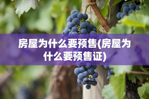 房屋为什么要预售(房屋为什么要预售证)