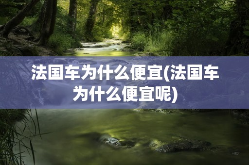 法国车为什么便宜(法国车为什么便宜呢)