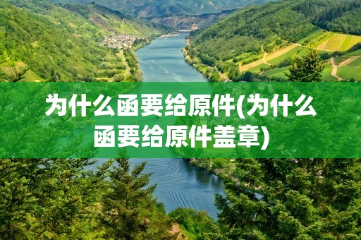 为什么函要给原件(为什么函要给原件盖章)