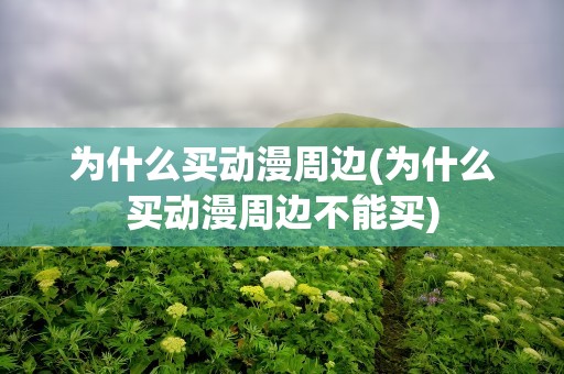 为什么买动漫周边(为什么买动漫周边不能买)