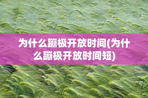 为什么蹦极开放时间(为什么蹦极开放时间短)