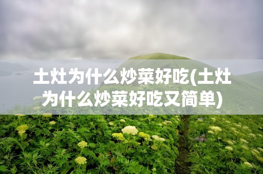 土灶为什么炒菜好吃(土灶为什么炒菜好吃又简单)
