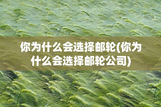 你为什么会选择邮轮(你为什么会选择邮轮公司)