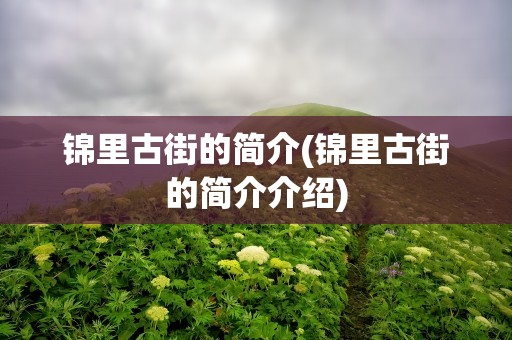 锦里古街的简介(锦里古街的简介介绍)