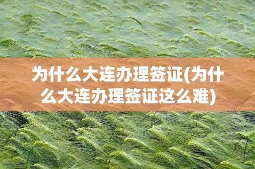 为什么大连办理签证(为什么大连办理签证这么难)