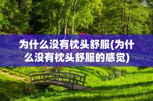 为什么没有枕头舒服(为什么没有枕头舒服的感觉)
