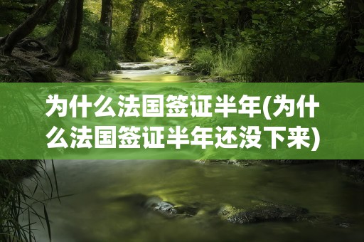 为什么法国签证半年(为什么法国签证半年还没下来)