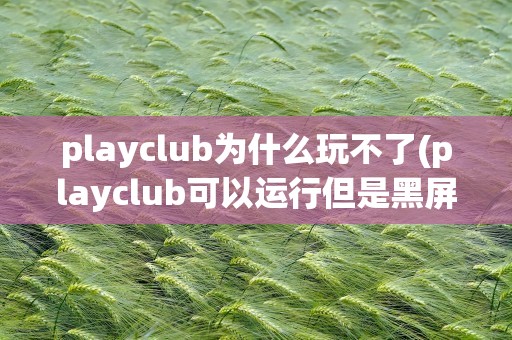 playclub为什么玩不了(playclub可以运行但是黑屏)