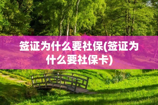 签证为什么要社保(签证为什么要社保卡)