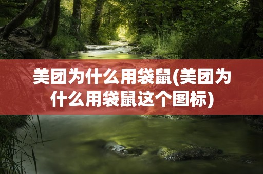 美团为什么用袋鼠(美团为什么用袋鼠这个图标)