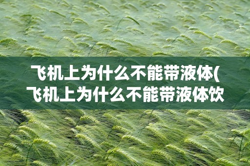 飞机上为什么不能带液体(飞机上为什么不能带液体饮料)