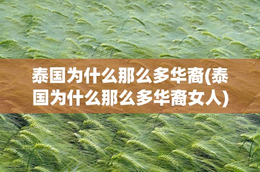 泰国为什么那么多华裔(泰国为什么那么多华裔女人)