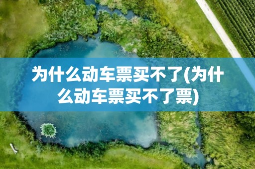 为什么动车票买不了(为什么动车票买不了票)