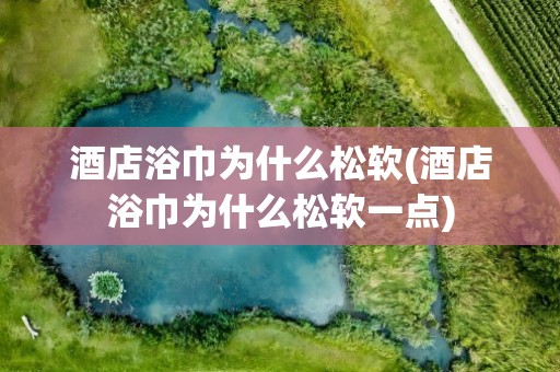 酒店浴巾为什么松软(酒店浴巾为什么松软一点)