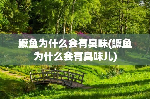 鳜鱼为什么会有臭味(鳜鱼为什么会有臭味儿)