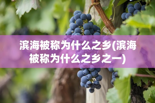 滨海被称为什么之乡(滨海被称为什么之乡之一)