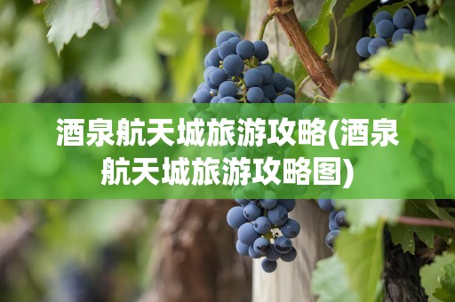 酒泉航天城旅游攻略(酒泉航天城旅游攻略图)