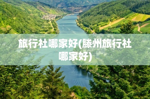 旅行社哪家好(滕州旅行社哪家好)