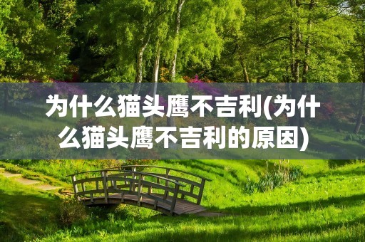 为什么猫头鹰不吉利(为什么猫头鹰不吉利的原因)