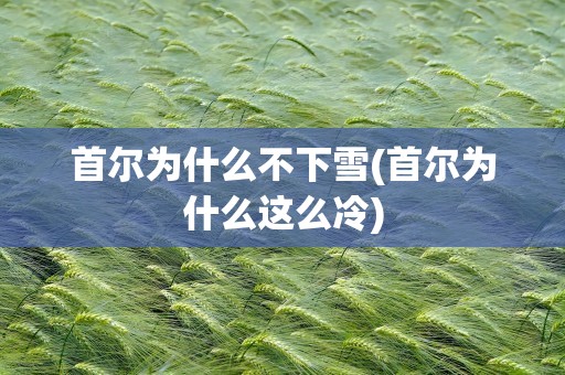 首尔为什么不下雪(首尔为什么这么冷)