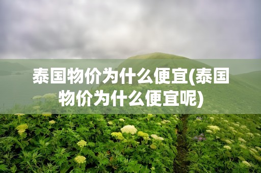 泰国物价为什么便宜(泰国物价为什么便宜呢)