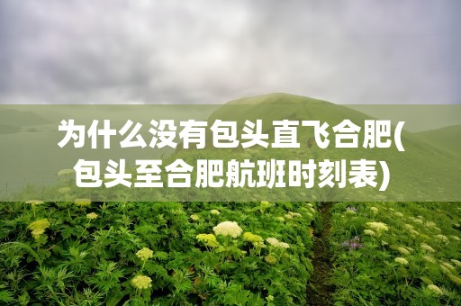 为什么没有包头直飞合肥(包头至合肥航班时刻表)