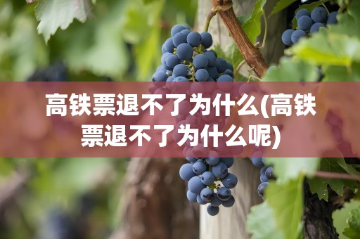 高铁票退不了为什么(高铁票退不了为什么呢)