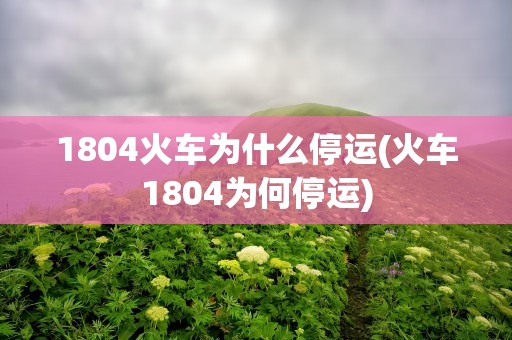 1804火车为什么停运(火车1804为何停运)