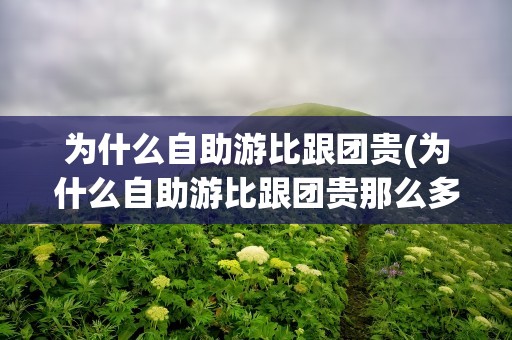 为什么自助游比跟团贵(为什么自助游比跟团贵那么多)