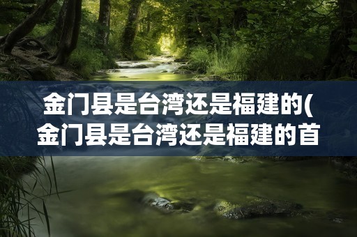 金门县是台湾还是福建的(金门县是台湾还是福建的首都)