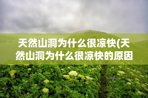 天然山洞为什么很凉快(天然山洞为什么很凉快的原因)