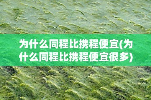 为什么同程比携程便宜(为什么同程比携程便宜很多)