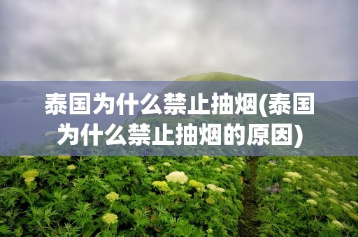 泰国为什么禁止抽烟(泰国为什么禁止抽烟的原因)