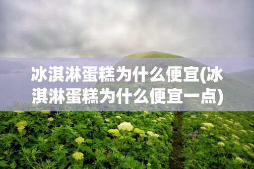 冰淇淋蛋糕为什么便宜(冰淇淋蛋糕为什么便宜一点)