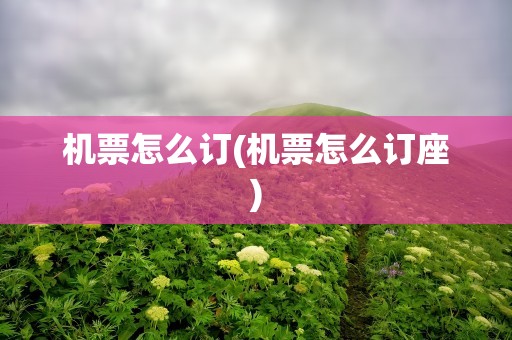 机票怎么订(机票怎么订座)